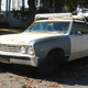 Illustration for article titled 1967 Chevrolet Chevelle Malibu, Plus Bonus Evil Chevy Poll